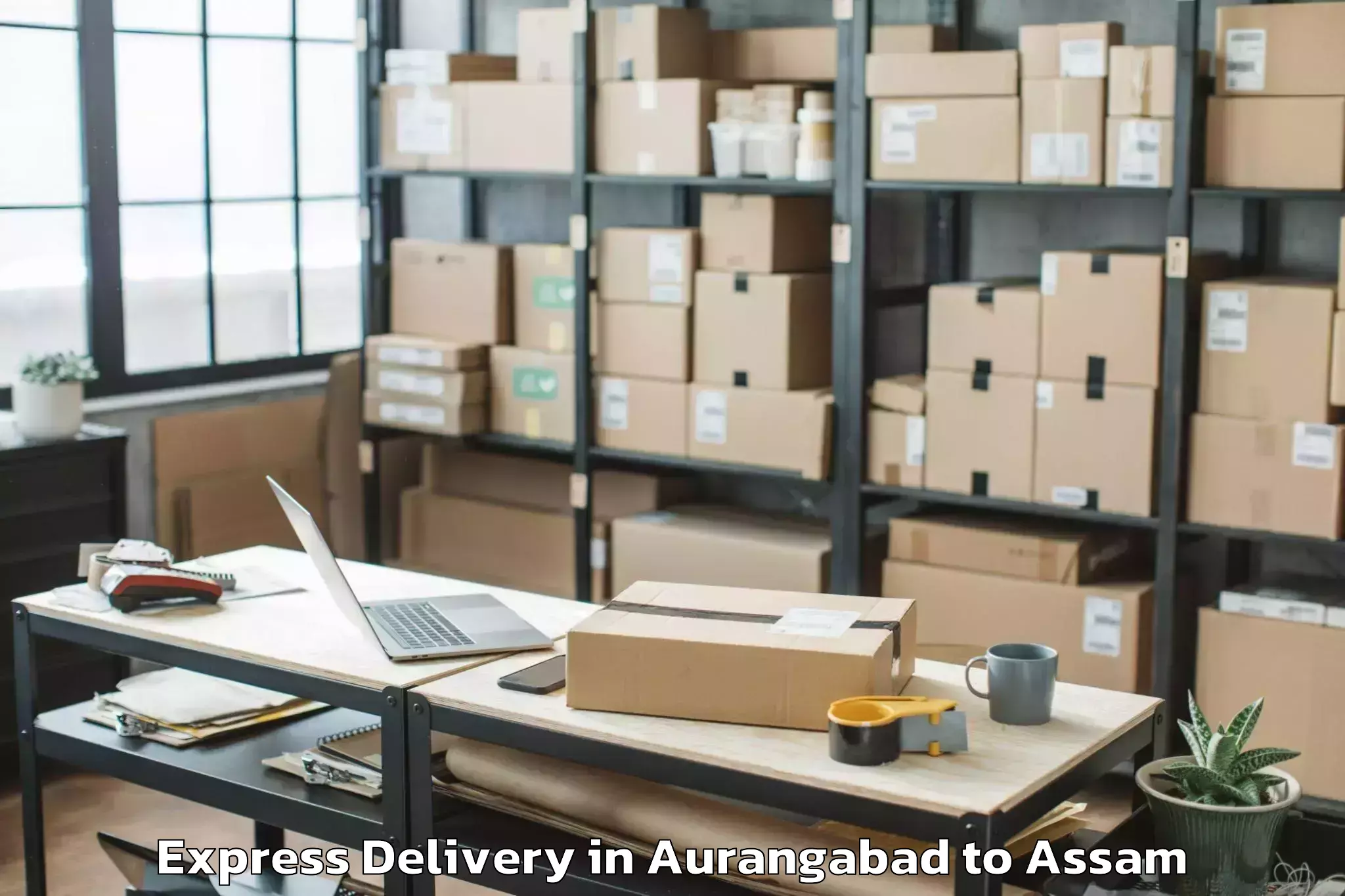 Professional Aurangabad to Tezpur Express Delivery